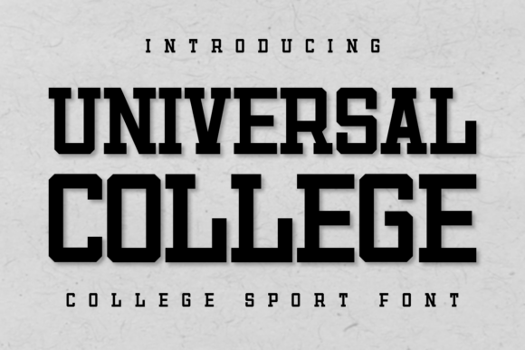 Universal College Font for Bold Branding and Modern Design